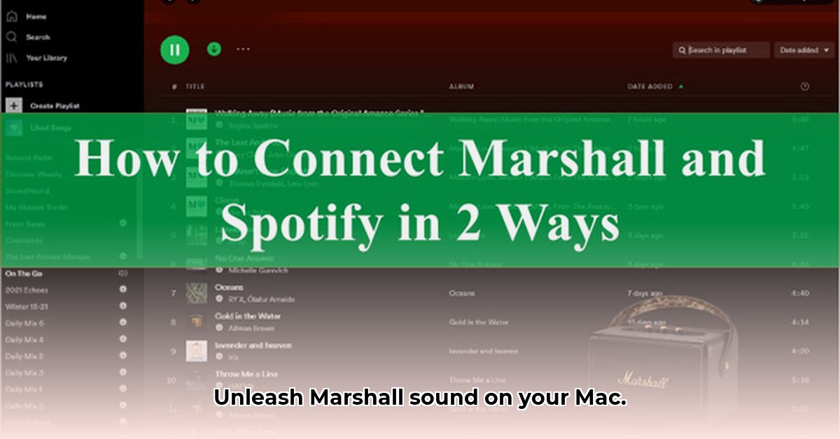 marshall-bluetooth-app-download-mac
